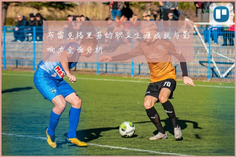 布雷克格里芬的职业生涯成就与影响力全面分析