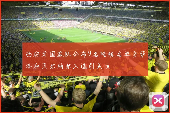 西班牙国家队公布9名陪练名单贡萨洛和贝尔纳尔入选引关注